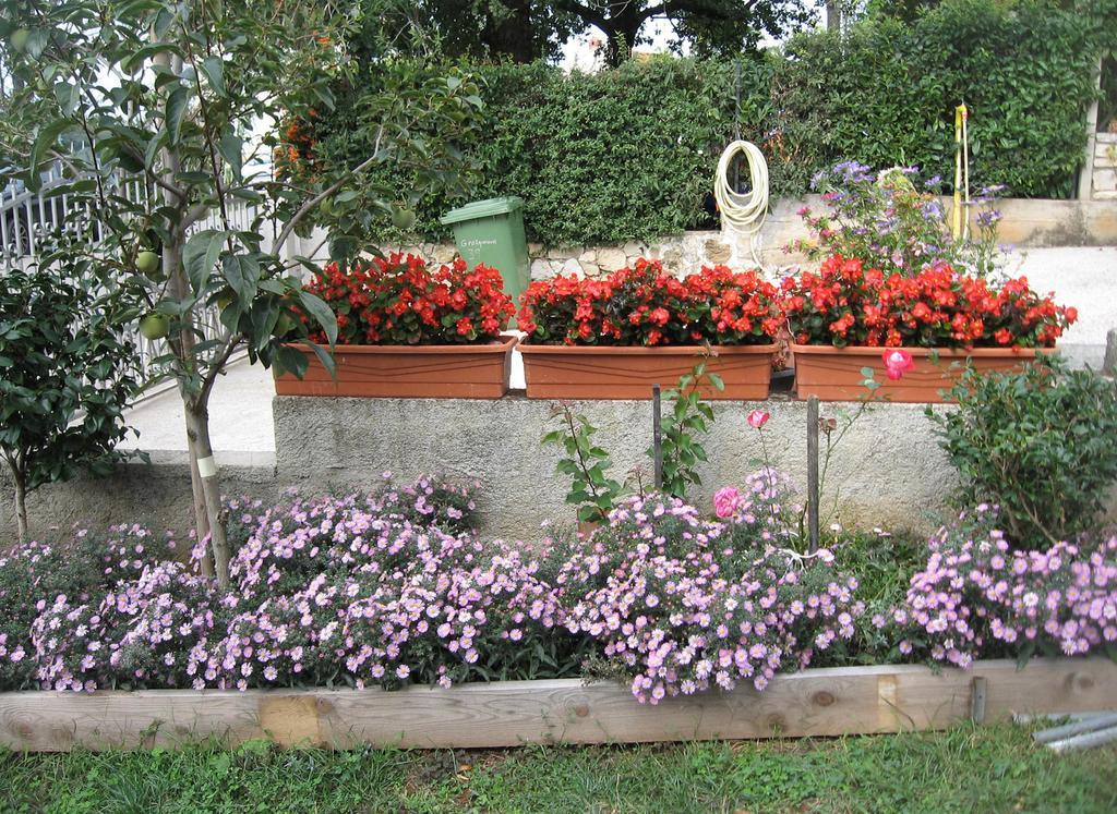 Apartments Adelita Poreč Chambre photo