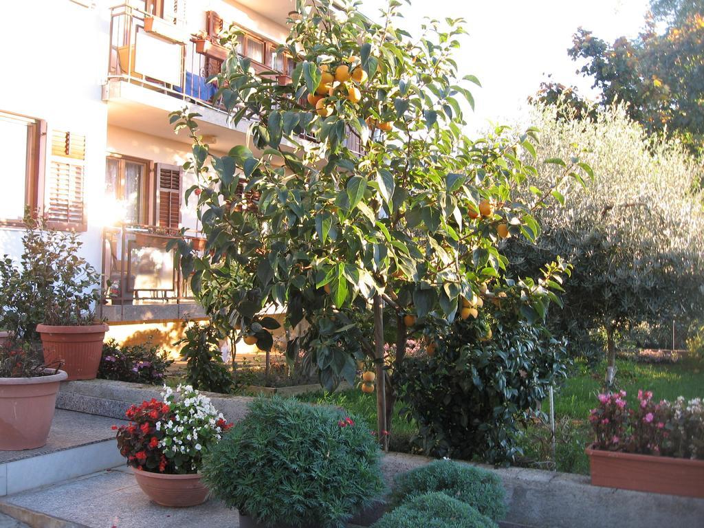 Apartments Adelita Poreč Extérieur photo